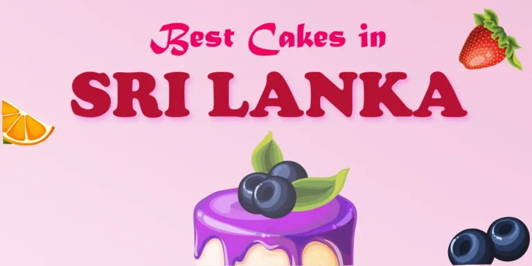 Discover the Best Cakes in Sri Lanka